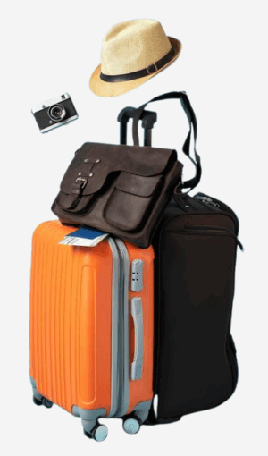 Travel Bag 1
